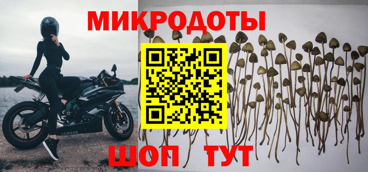 Псилоцибиновые грибы GOLDEN TEACHER  где купить   Мариинск  Вход с VPN 